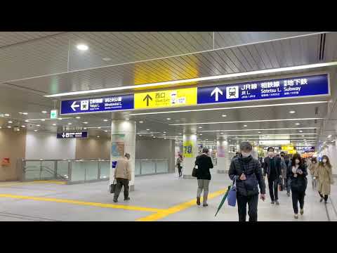 【乗り換え】横浜駅 京急線～横浜市営地下鉄ブルーラインまで歩いてみた