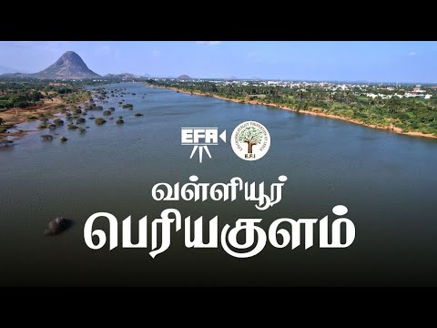 வள்ளியூர் பெரியகுளம் | Valliyur Periyakulam Water Story | E.F.I's Hydrostan