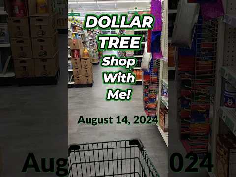 DOLLAR TREE Shop With Me!  Mt. Morris, NY!  August 14, 2024  #dollartree #shopwithme