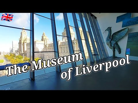 The Museum of Liverpool 🇬🇧