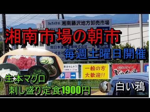 湘南藤沢地方卸売市場の朝市