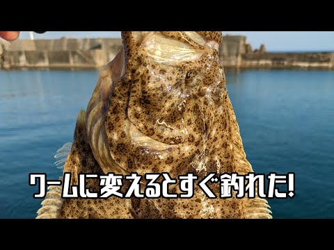 ミノーで粘るもワームに変えたらすぐに高級魚が釣れちゃいました。