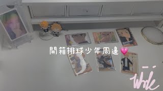 開箱排球少年周邊🫰🏻/好貴🥺/#排球少年 #日向翔陽