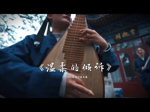 【龙虎山】温柔的倾诉 #温柔的倾诉【Taoist Orchestra】#道乐 #民乐 #太极拳 #道士 #Taoism #tiktok #乐团