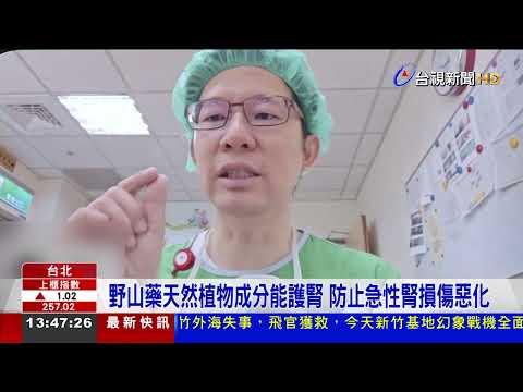 部桃攜手陽明交大研究 草本成分助急性腎損治療