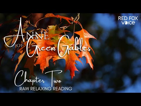 Reading: Anne of Green Gables to you (Chapter 2) 🦊🎶 a raw, pure 'n' relaxing audiobook for all ages