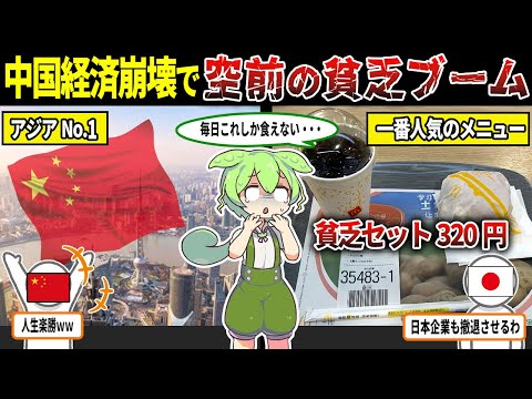 「お金のない人の救世主」中国マクドナルドで売られている「貧乏人セット」が大人気その実態がやばすぎる…【ずんだもん＆ゆっくり解説】