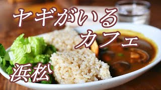 【浜松カフェ】ヤギがお出迎え？！山奥の古民家カフェの居心地が最高だった