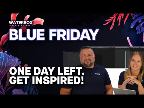 Blue Friday sales end tomorrow. Get inspired as we share previous freshwater & saltwater builds.