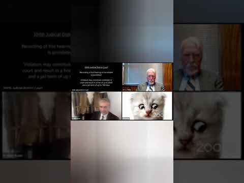 Filter Makes Lawyer Look Like Cat in Court