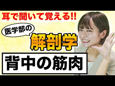 これを覚えてなければ試験不合格!?覚えにくい解剖学「背中の筋肉」について(解剖学,筋肉,覚え方,勉強法)