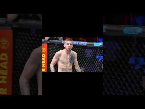 TOM NOLAN HIGHLIGHTS AND KNOCKOUTS