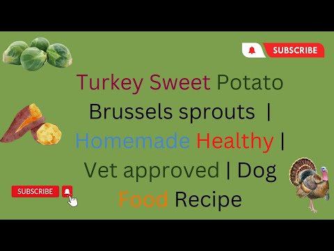 Turkey Sweet Potato and Brussels sprouts Homemade Healthy Vet approved  Recipe DIY Dog Food