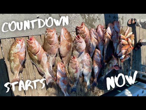 2023 Grouper Season Recap | Awaiting January 1 Opening Day | Naples Florida