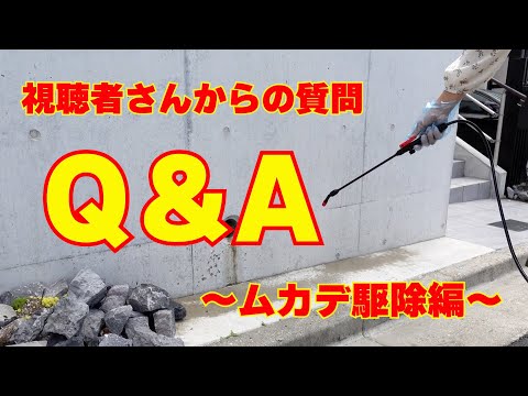 【ムカデ駆除】ムカデ駆除に関する質問 Q＆A 視聴者さんからの質問に対する答え ムカデ侵入防止 ムカデ対策 ムカデ用殺虫剤