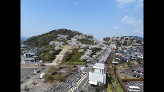 日本の歴史公園100選　西山公園（福井県鯖江市）