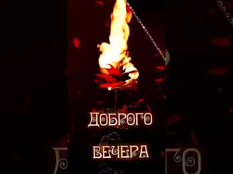 🌺• ДОБРЫЙ ВЕЧЕР• Не скучного вечера• #shorts