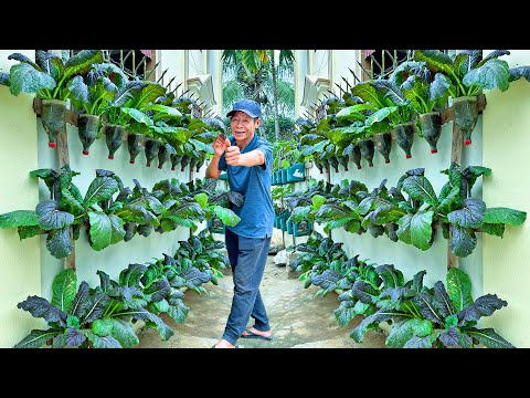 Turn A Wall Into A Dream Vegetable Garden: Creative, Economical And Effective