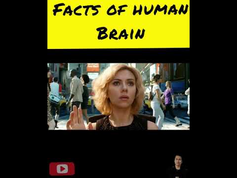 #shorts #amazingfacts Brain unlock to 100% myth?