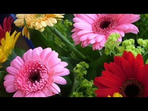 Доброе утро🌹🌹🌹отличного настроения на весь день🌷🌷🌷