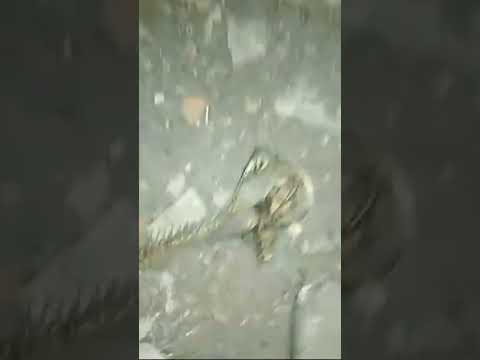 Entre a grabar Loque queda de la finca del metropolitano en León gto.#parati#viral #shortsviral