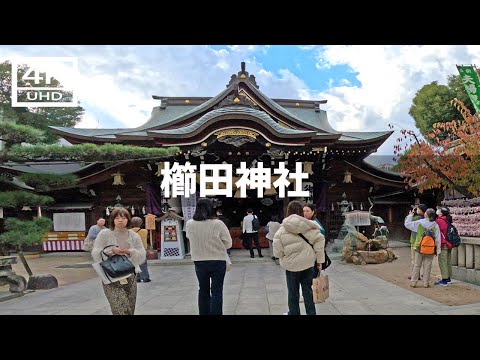 【2024年12月2日】櫛田神社と川端通商店街を歩いてみた