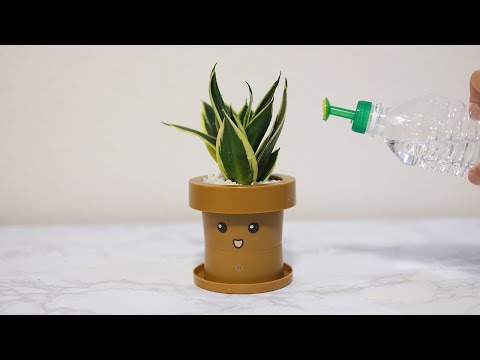 しゃべる植木鉢に植物を飾ってみた【 Talking flower pot 】