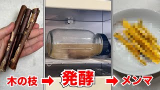 木の枝からメンマは作れるのか？【ENG SUB】