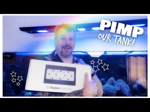 Pimp Our Tank! New Radion & Corals | Red Sea Reefer 900 3XL | 240 gallon Mixed Reef Tank Update