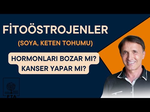 Fitoöstrojenler: Soya, Keten tohumu hormonlar bozar mı? Meme prostat kanseri yapar mı?