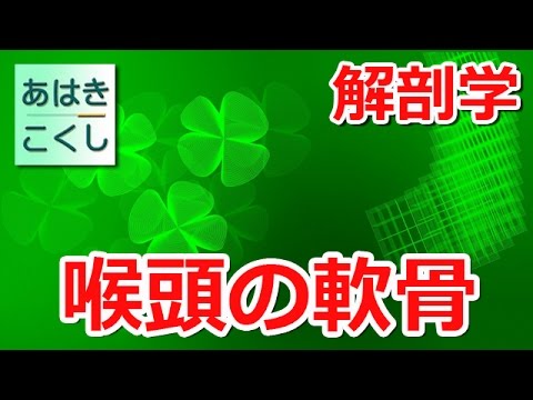 鍼灸 国家試験対策 解剖学 - 喉頭の軟骨 [あはきこくし]