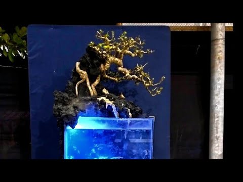 innovative bonsai presentation #bonsai #bonsaitree #diy #diycrafts