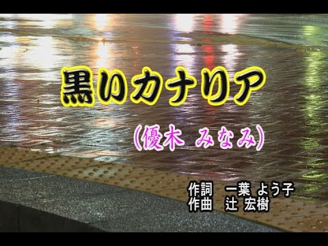 黒いカナリア／優木みなみ