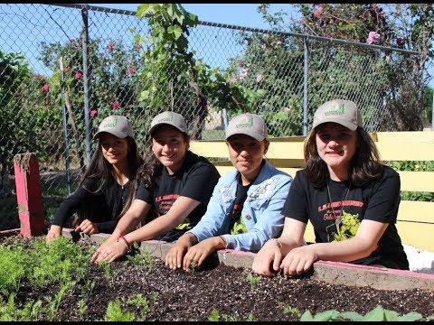 #BuddingBotanist: R.M Miano Elementary School