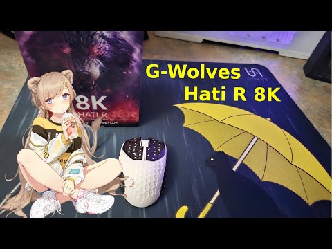 Excellent Fingertip Mouse. G-Wolves HTR 8K Review