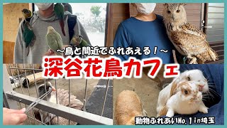 【深谷花鳥カフェ】動物ふれあいNo 1in埼玉～鳥と間近でふれあえる！～