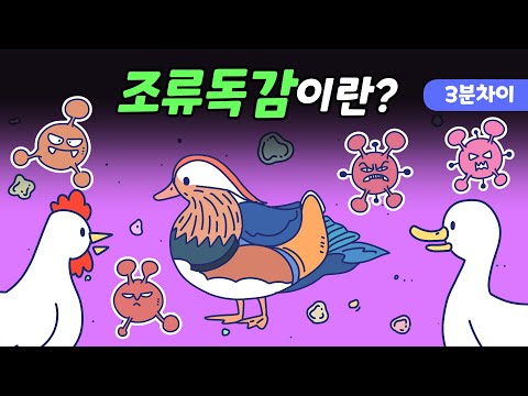 조류독감이란?