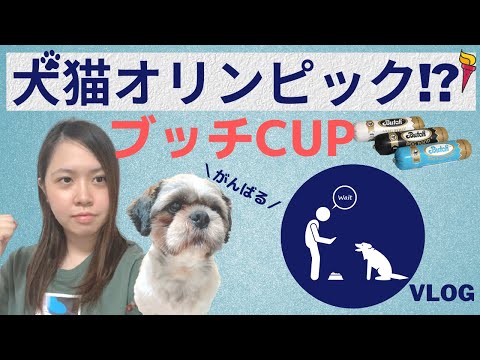 【VLOG】犬猫オリンピックに愛犬が参加！（同性カップル