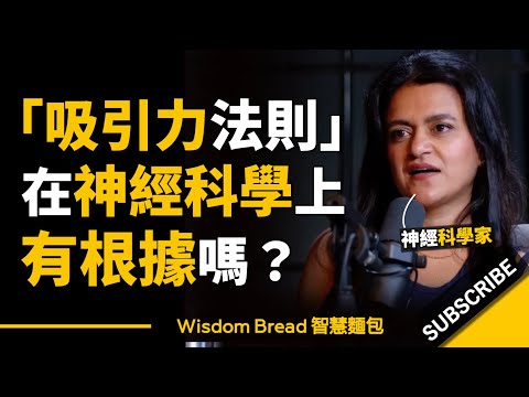 「吸引力法則」在神經科學上有根據嗎？► 聽聽神經科學家怎麼說..  - Dr Tara Swart 塔拉‧史瓦特（中英字幕）