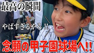 初野球観戦で起きたまさかの奇跡に大興奮！！【阪神タイガース】