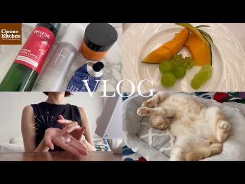 【VLOG】猫と30代の2人暮らし｜秋のスキンケア｜長かった夏を振り返る🌻🍂