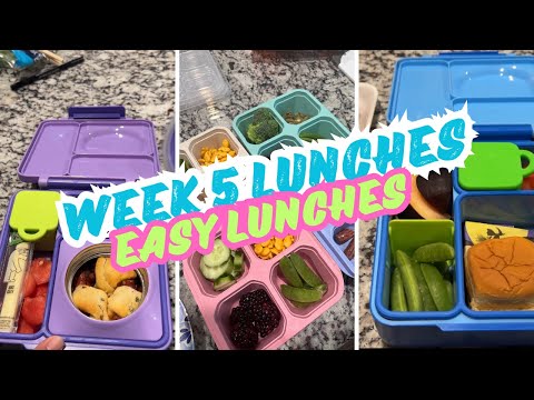 School lunch ideas 2024/ New school lunchbox ideas