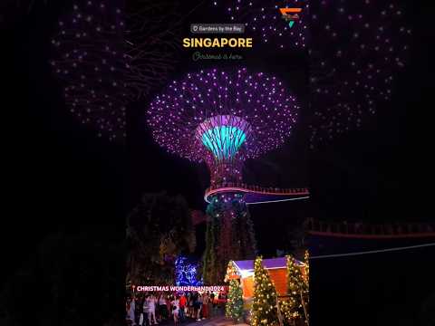 Christmas Wonderland 2024 in Singapore in 47 Seconds!! | by  @frozen_moments_by_senthil