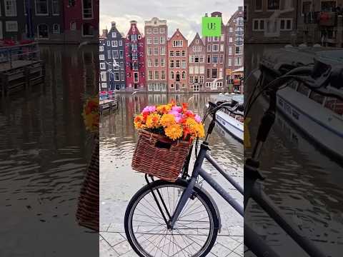 Amsterdam #reels #placestovisit #shorts #life #lifestyle #amsterdam #holland #europe #fyp #wow