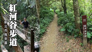 消暑森林浴~烏來．紅河谷步道 (Honghe Valley Trail)