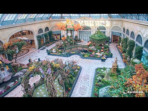 Bellagio Conservatory & Botanical Gardens Autumn 2024 Time-Lapse