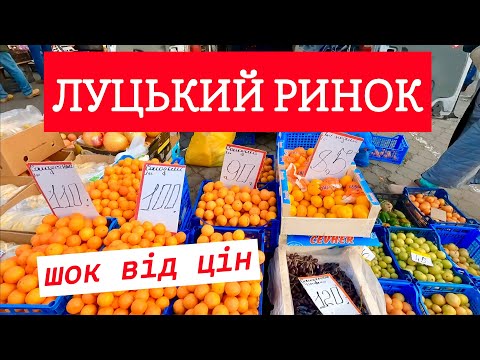 ЦІНИ НА РИНКУ У ЛУЦЬКУ ЗНОВУ ПІДРОСЛИ! МАНДАРИНИ 120, ЯЙЦЯ 100, СМЕТАНА 110, СИР 130!  23.11.2024!