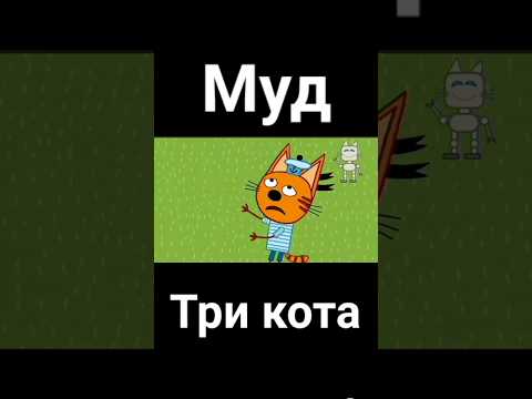 муд три кота "сила воли"