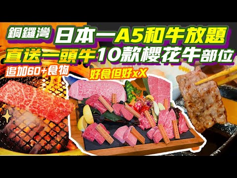 銅鑼灣放題任食A5和牛💥好食高質但衰在好XX 日本自家農場一頭牛10款櫻花牛部位 60＋食物選擇 宮崎和牛 日本直送蟹味噌甲羅 日本雞肉 牛魔王 銅鑼灣放題 銅鑼灣食乜好 宮崎肉本舖香港店 EP23