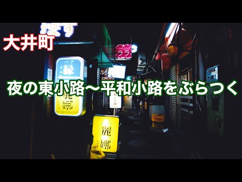 【大井町】夜の東小路〜平和小路をぶらつく